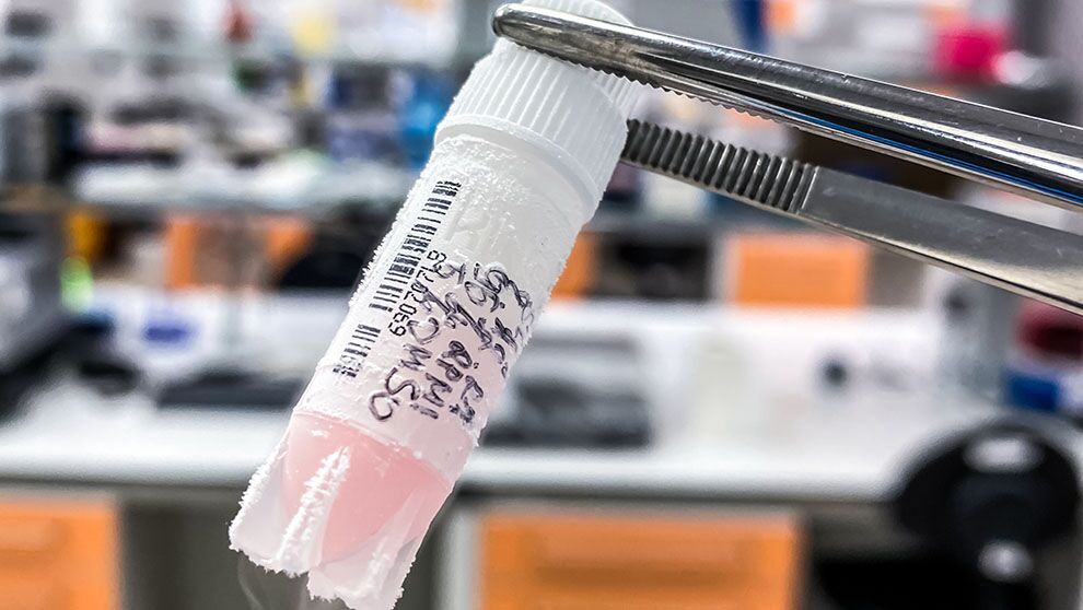 frosty sample with barcode and handwritten label held with tongs in front of lab benches